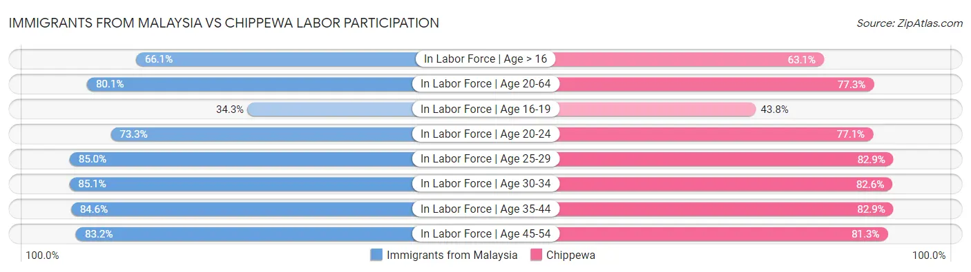 Immigrants from Malaysia vs Chippewa Labor Participation
