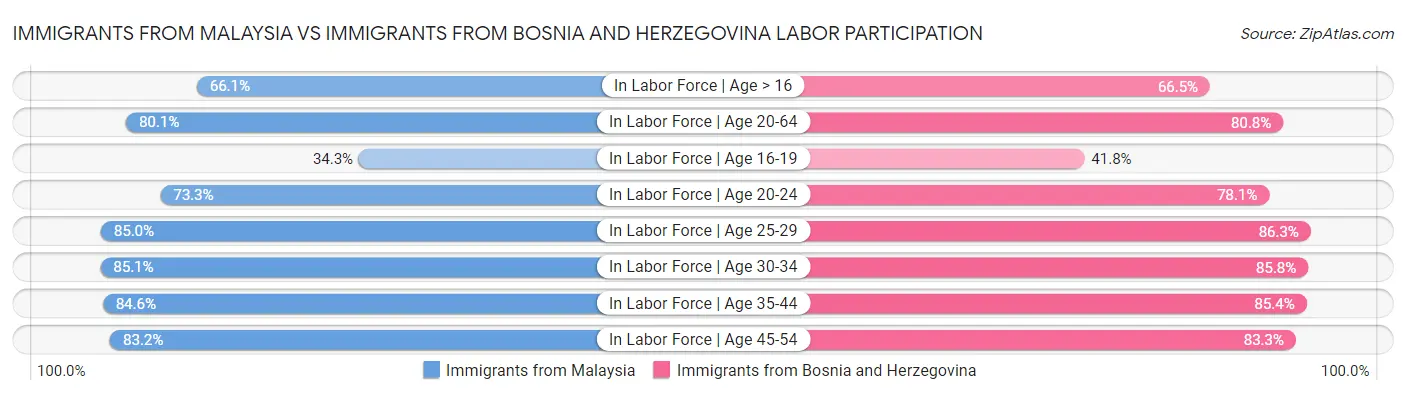 Immigrants from Malaysia vs Immigrants from Bosnia and Herzegovina Labor Participation