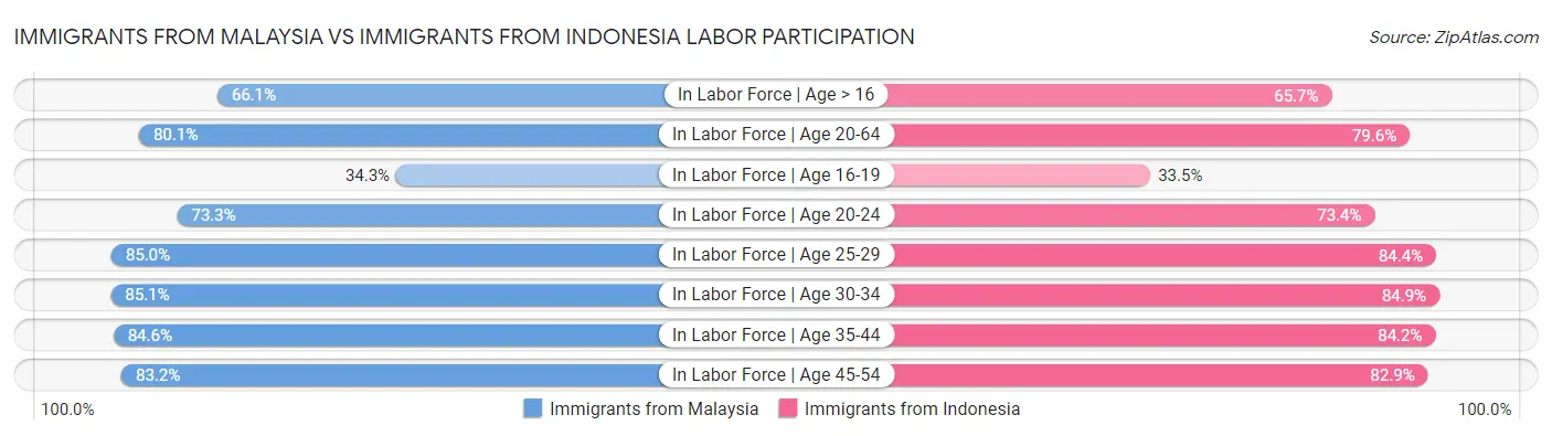 Immigrants from Malaysia vs Immigrants from Indonesia Labor Participation