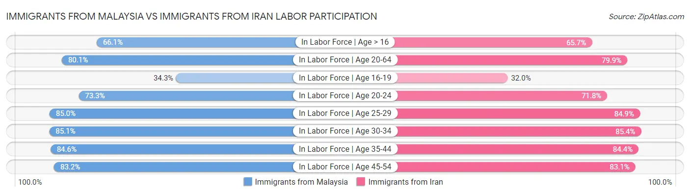 Immigrants from Malaysia vs Immigrants from Iran Labor Participation