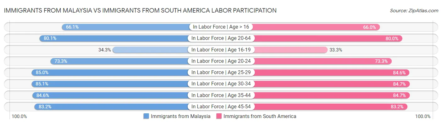 Immigrants from Malaysia vs Immigrants from South America Labor Participation