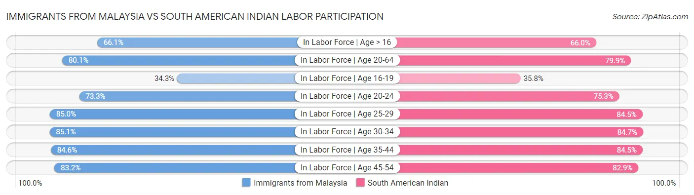 Immigrants from Malaysia vs South American Indian Labor Participation