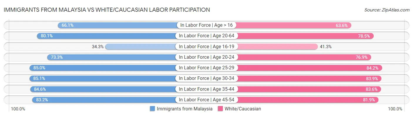 Immigrants from Malaysia vs White/Caucasian Labor Participation