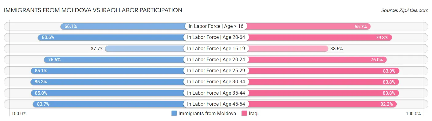 Immigrants from Moldova vs Iraqi Labor Participation