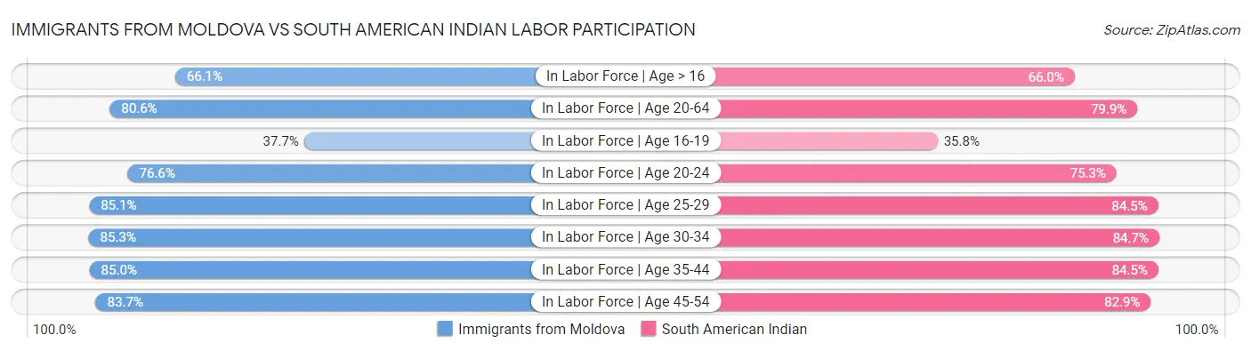 Immigrants from Moldova vs South American Indian Labor Participation