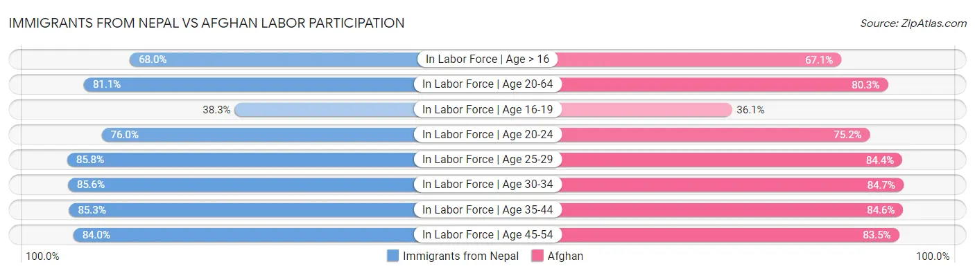 Immigrants from Nepal vs Afghan Labor Participation