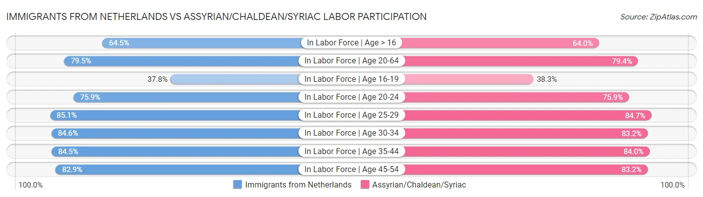 Immigrants from Netherlands vs Assyrian/Chaldean/Syriac Labor Participation