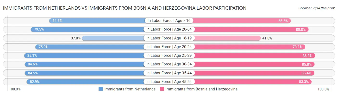 Immigrants from Netherlands vs Immigrants from Bosnia and Herzegovina Labor Participation