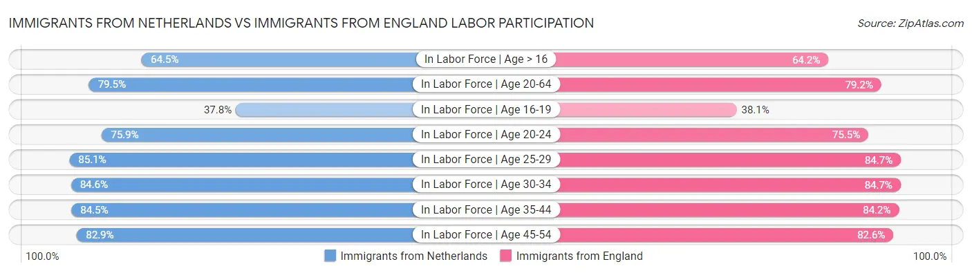 Immigrants from Netherlands vs Immigrants from England Labor Participation