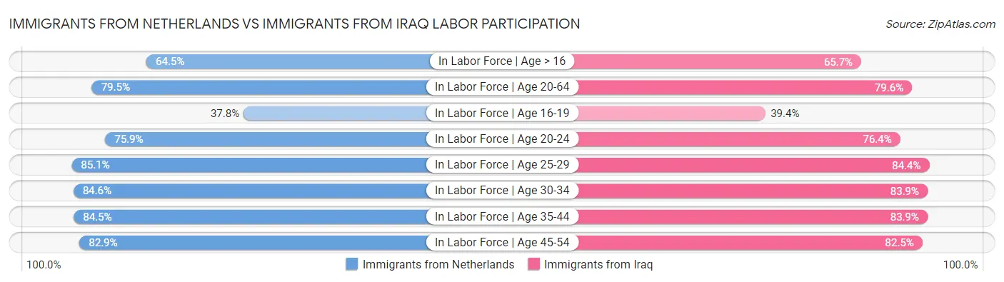 Immigrants from Netherlands vs Immigrants from Iraq Labor Participation