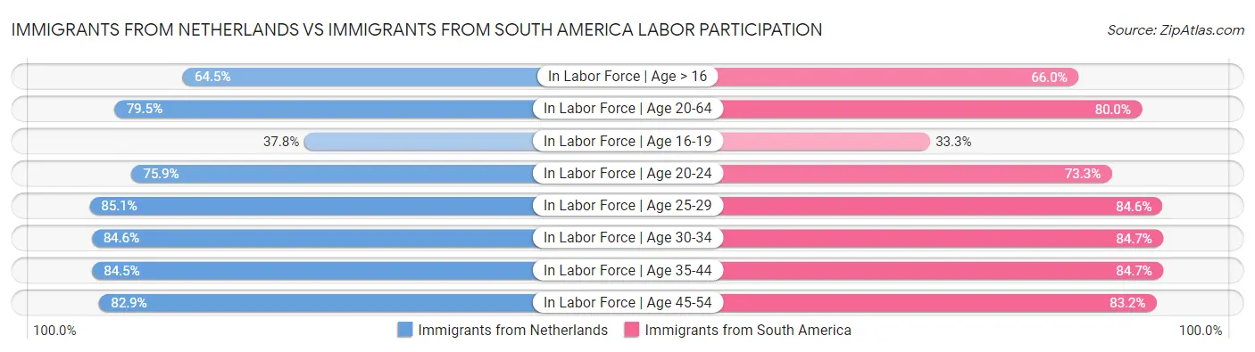 Immigrants from Netherlands vs Immigrants from South America Labor Participation