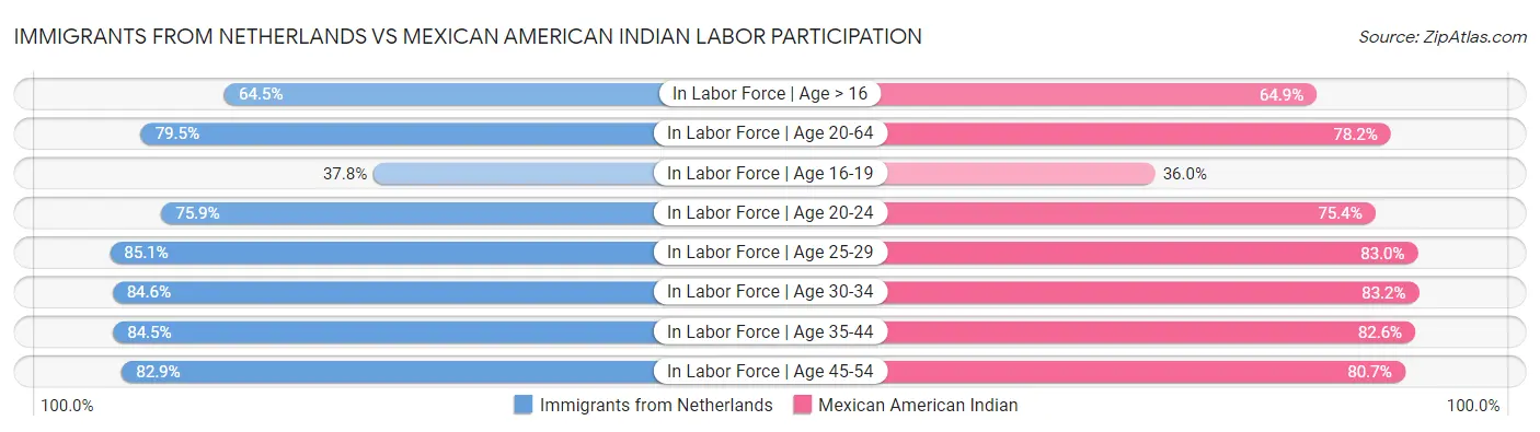 Immigrants from Netherlands vs Mexican American Indian Labor Participation