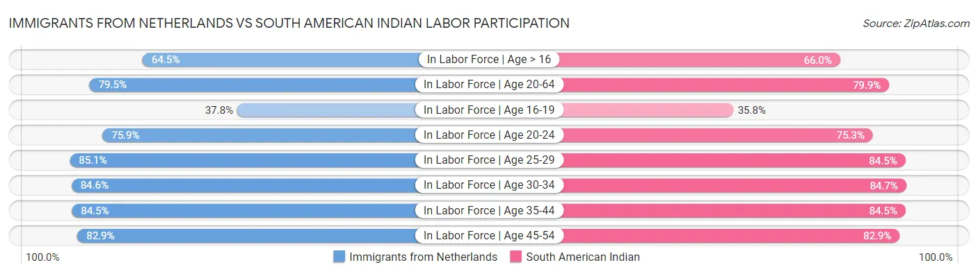 Immigrants from Netherlands vs South American Indian Labor Participation