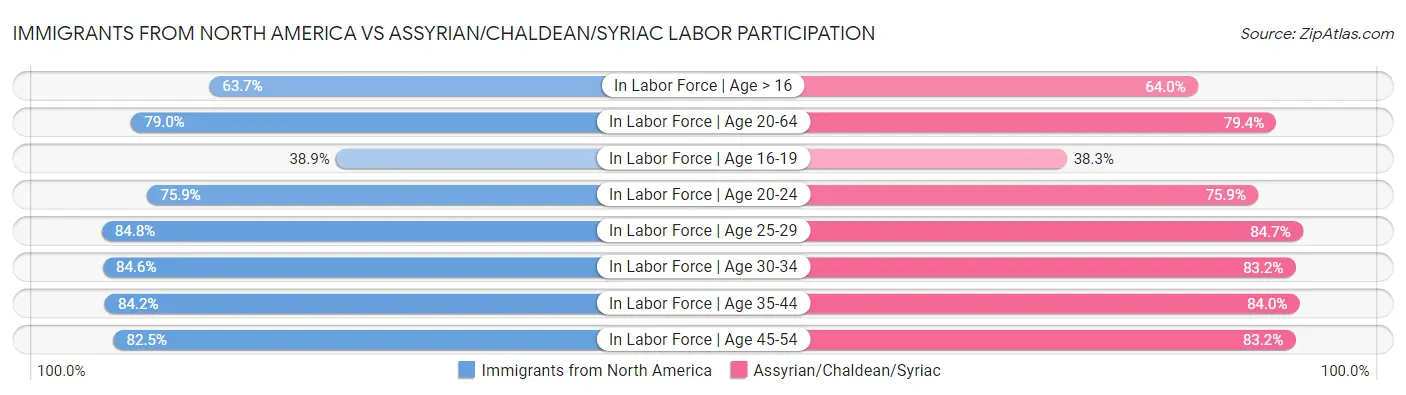 Immigrants from North America vs Assyrian/Chaldean/Syriac Labor Participation