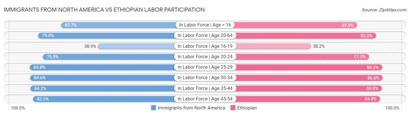 Immigrants from North America vs Ethiopian Labor Participation