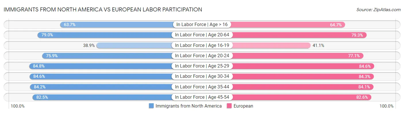 Immigrants from North America vs European Labor Participation