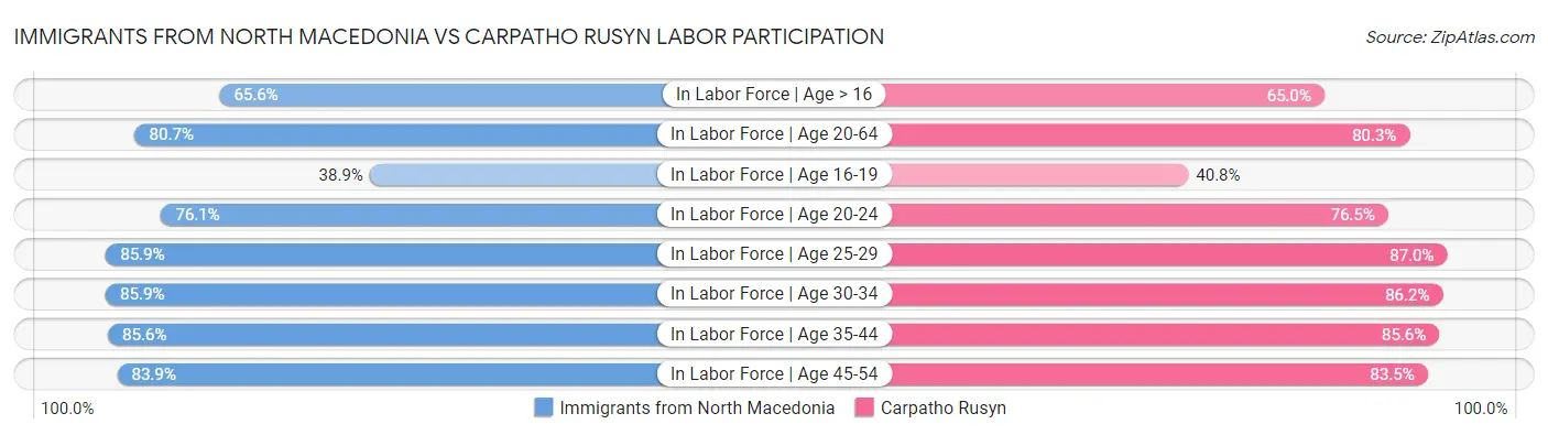 Immigrants from North Macedonia vs Carpatho Rusyn Labor Participation