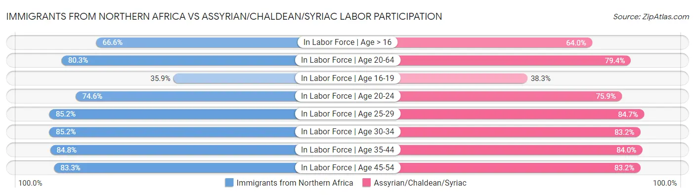 Immigrants from Northern Africa vs Assyrian/Chaldean/Syriac Labor Participation