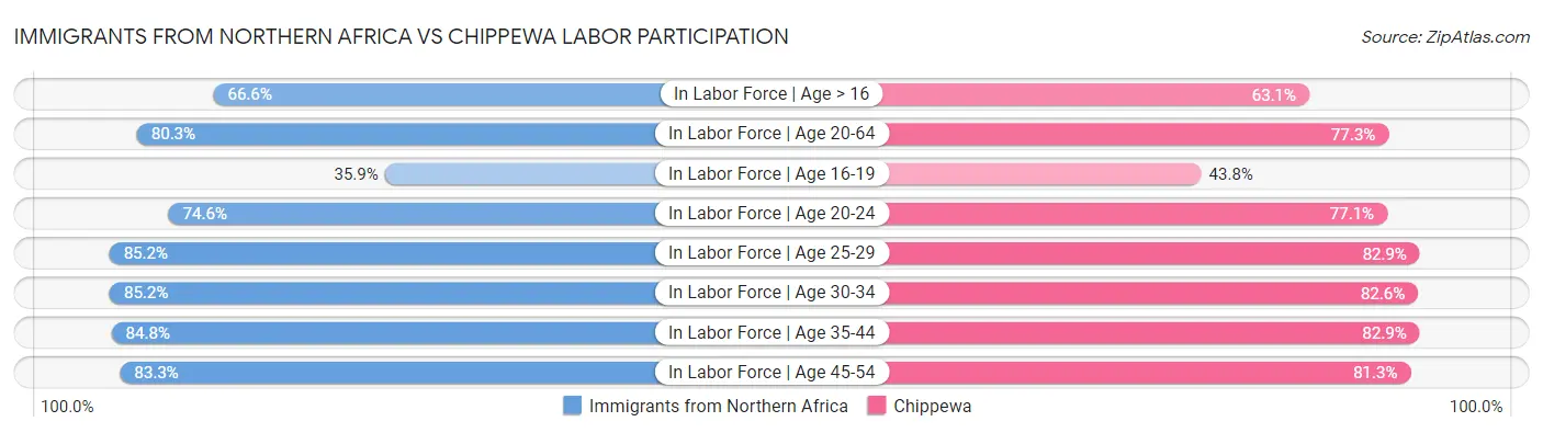 Immigrants from Northern Africa vs Chippewa Labor Participation