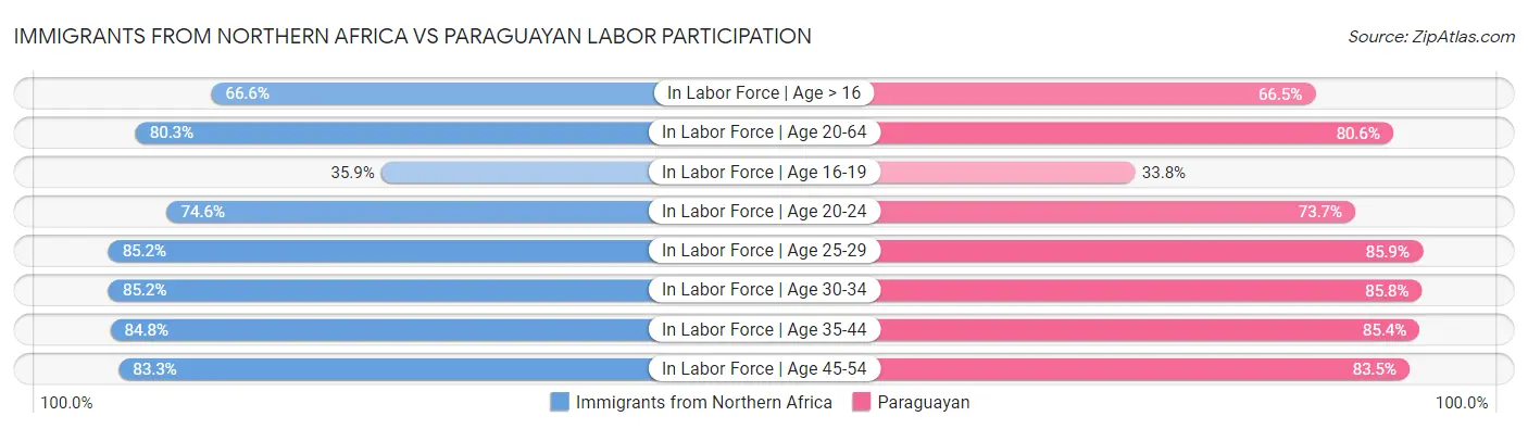 Immigrants from Northern Africa vs Paraguayan Labor Participation