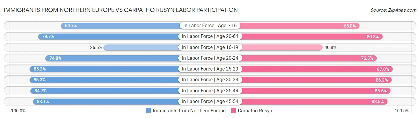 Immigrants from Northern Europe vs Carpatho Rusyn Labor Participation