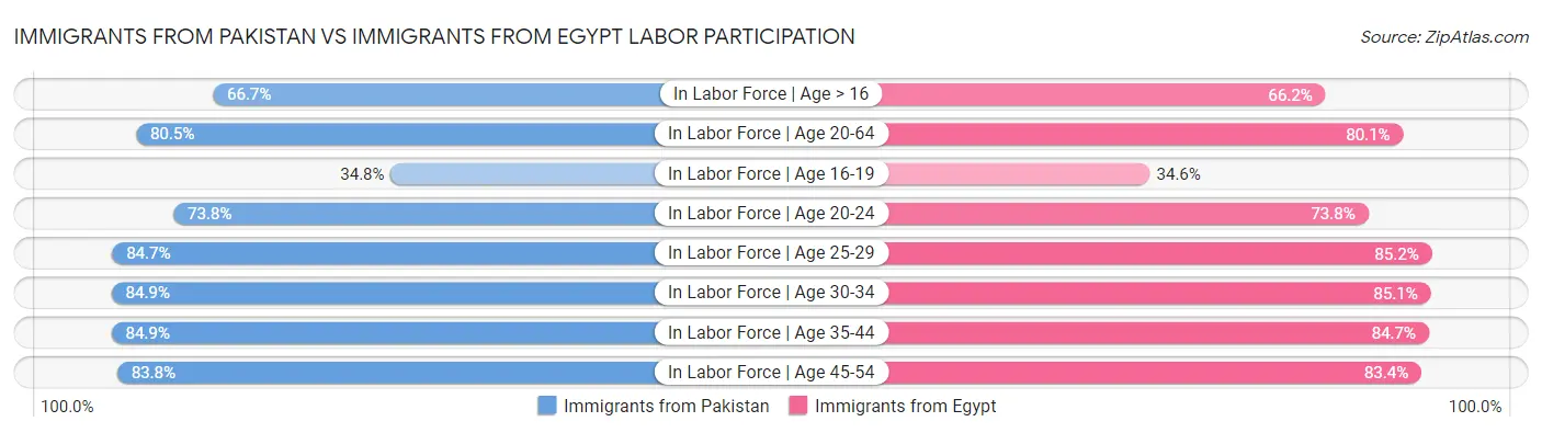 Immigrants from Pakistan vs Immigrants from Egypt Labor Participation