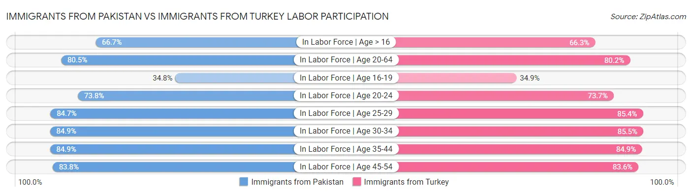 Immigrants from Pakistan vs Immigrants from Turkey Labor Participation