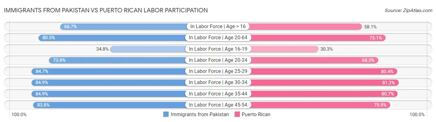 Immigrants from Pakistan vs Puerto Rican Labor Participation