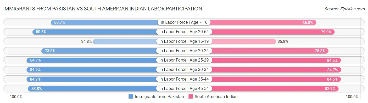 Immigrants from Pakistan vs South American Indian Labor Participation