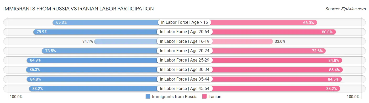 Immigrants from Russia vs Iranian Labor Participation