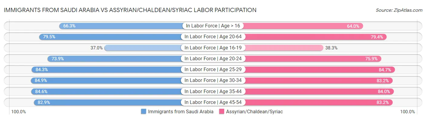 Immigrants from Saudi Arabia vs Assyrian/Chaldean/Syriac Labor Participation