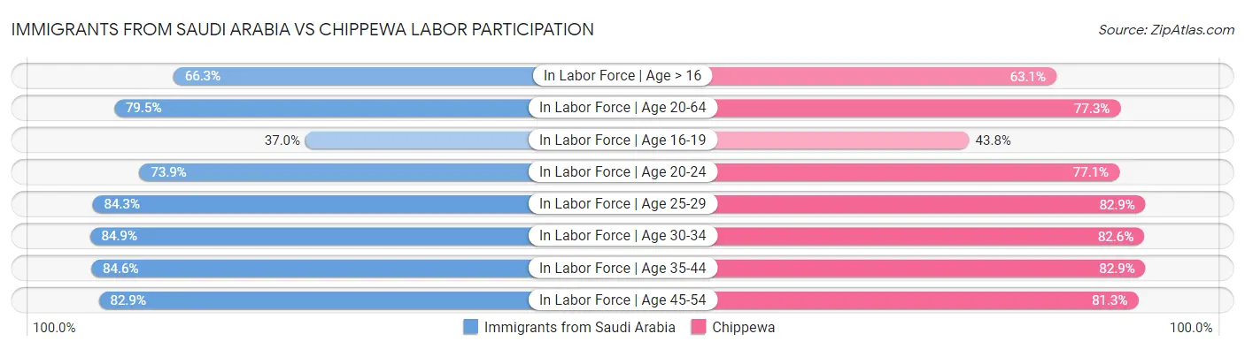 Immigrants from Saudi Arabia vs Chippewa Labor Participation