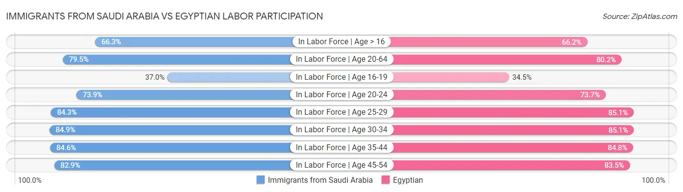 Immigrants from Saudi Arabia vs Egyptian Labor Participation
