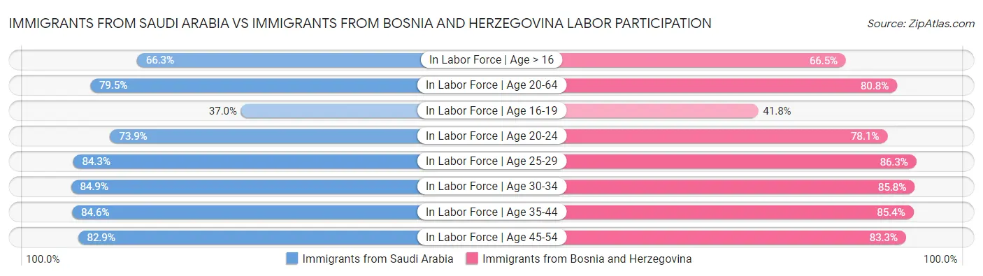 Immigrants from Saudi Arabia vs Immigrants from Bosnia and Herzegovina Labor Participation