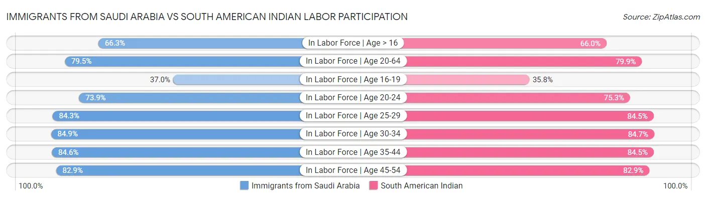 Immigrants from Saudi Arabia vs South American Indian Labor Participation
