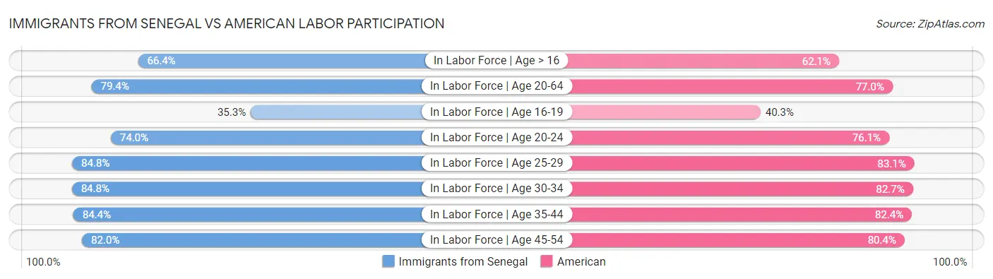 Immigrants from Senegal vs American Labor Participation
