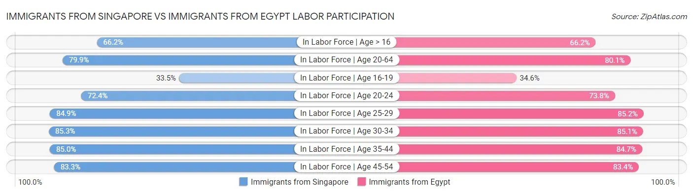Immigrants from Singapore vs Immigrants from Egypt Labor Participation