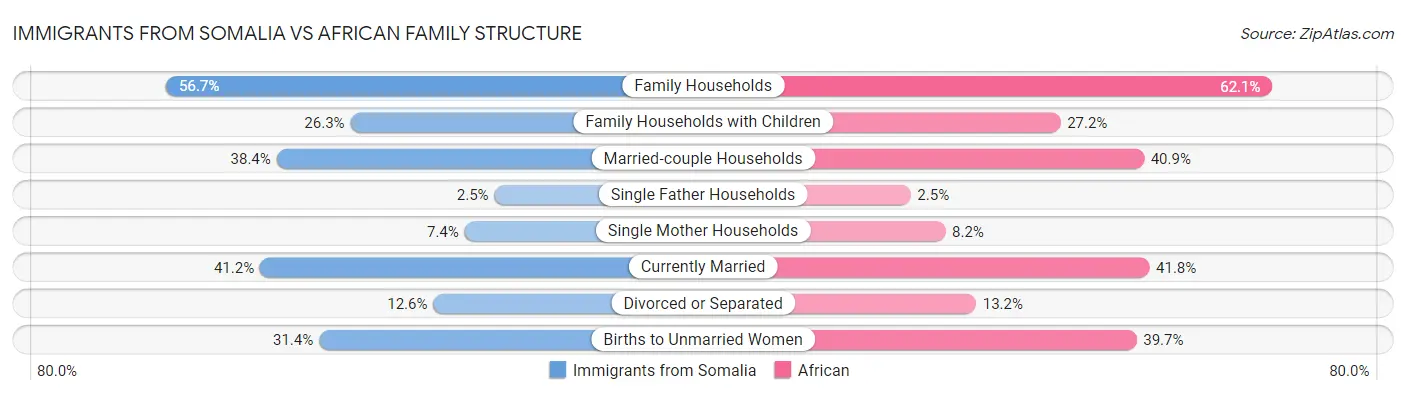 Immigrants from Somalia vs African Family Structure