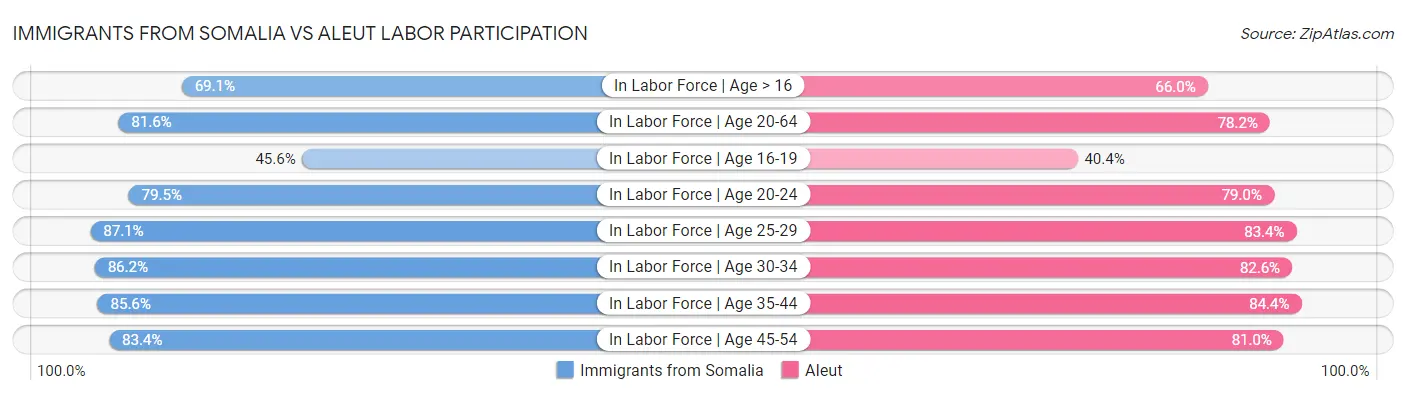 Immigrants from Somalia vs Aleut Labor Participation