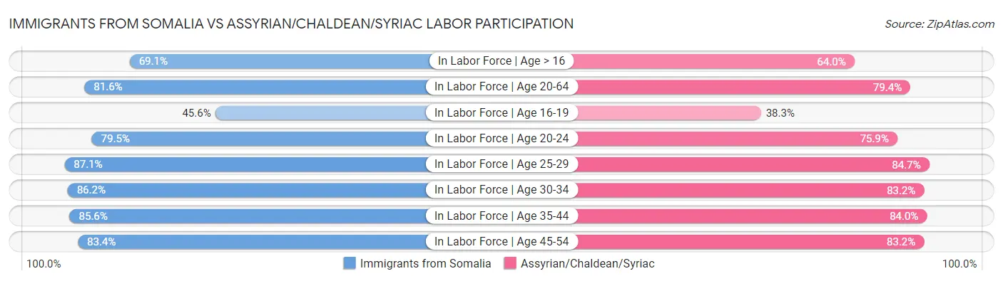 Immigrants from Somalia vs Assyrian/Chaldean/Syriac Labor Participation