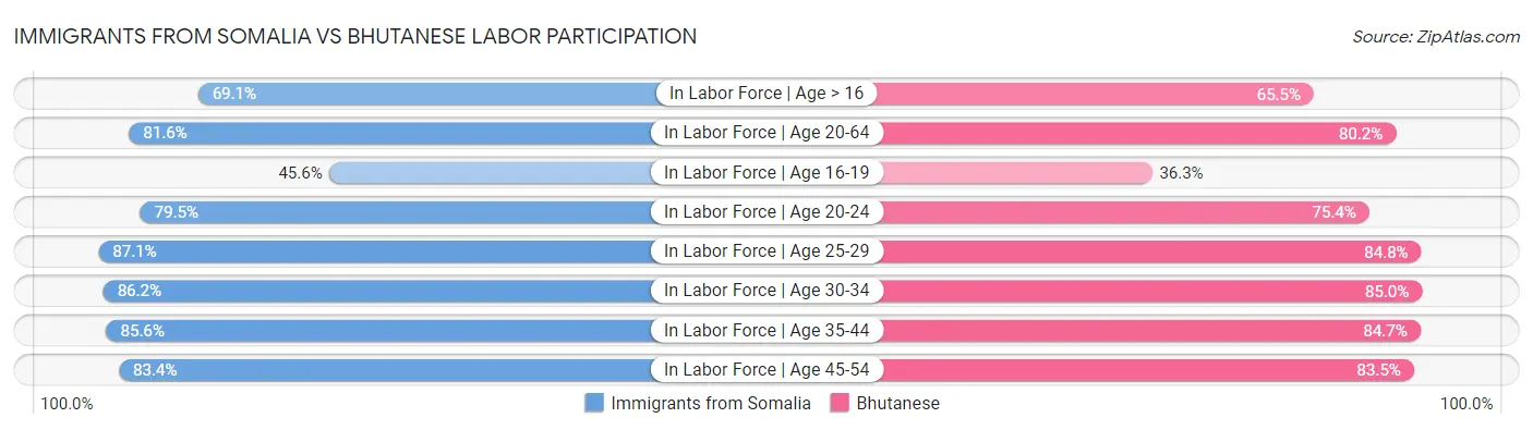 Immigrants from Somalia vs Bhutanese Labor Participation