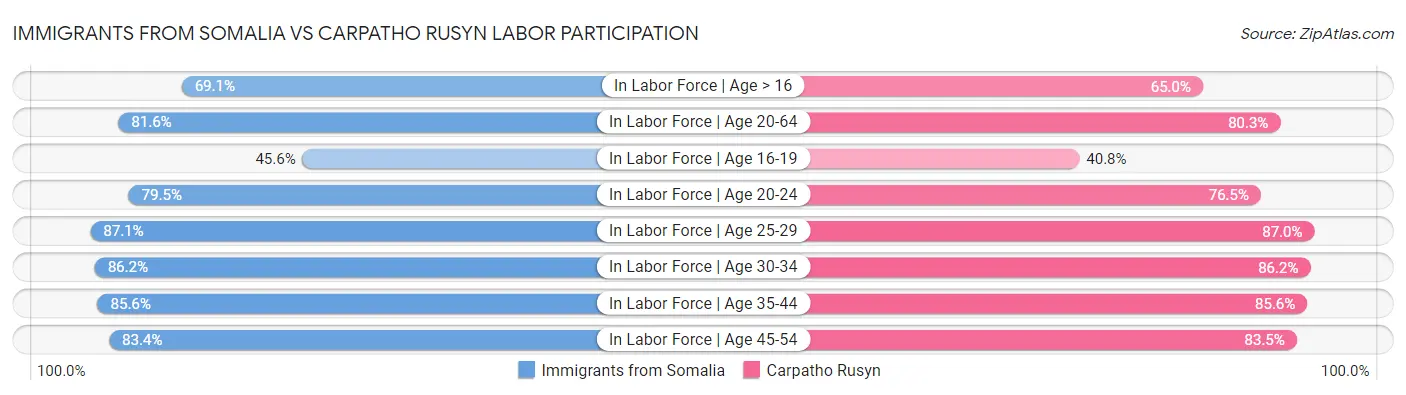 Immigrants from Somalia vs Carpatho Rusyn Labor Participation
