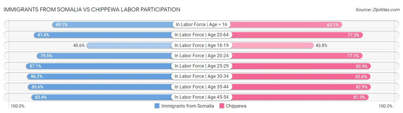 Immigrants from Somalia vs Chippewa Labor Participation