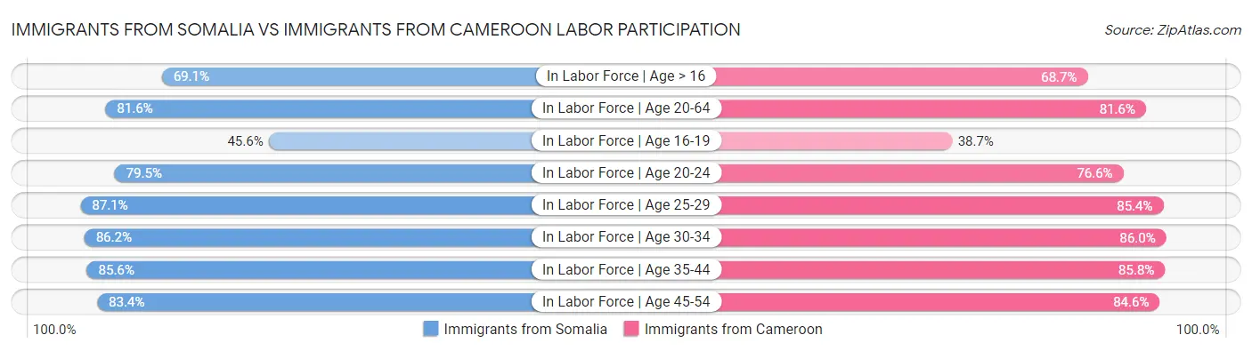 Immigrants from Somalia vs Immigrants from Cameroon Labor Participation