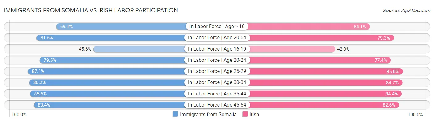 Immigrants from Somalia vs Irish Labor Participation