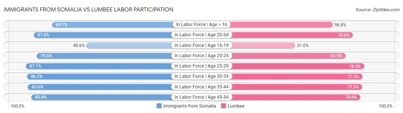Immigrants from Somalia vs Lumbee Labor Participation