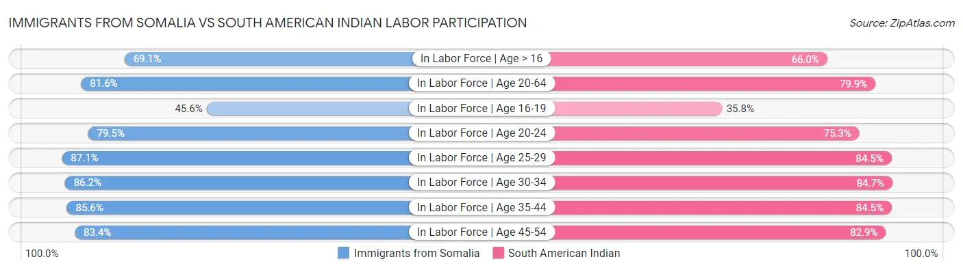 Immigrants from Somalia vs South American Indian Labor Participation