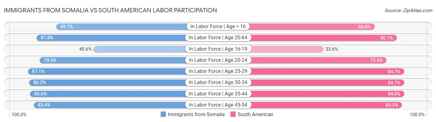 Immigrants from Somalia vs South American Labor Participation