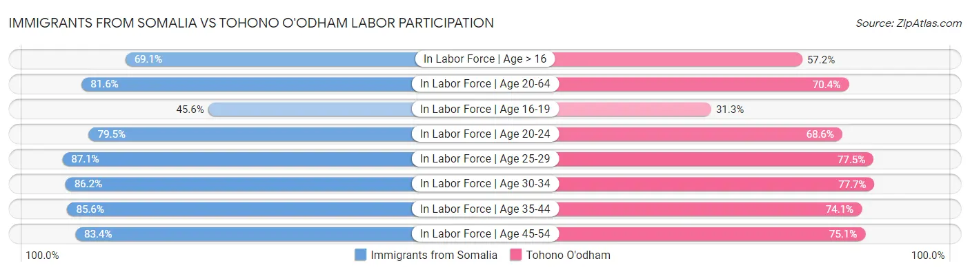 Immigrants from Somalia vs Tohono O'odham Labor Participation