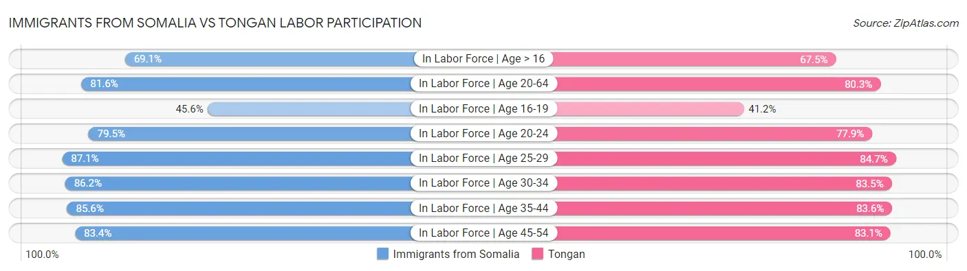 Immigrants from Somalia vs Tongan Labor Participation